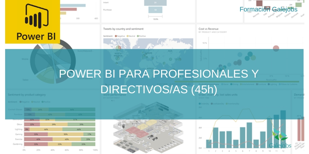POWER BI PARA PROFESIONALES Y DIRECTIVOS/AS (45h) 